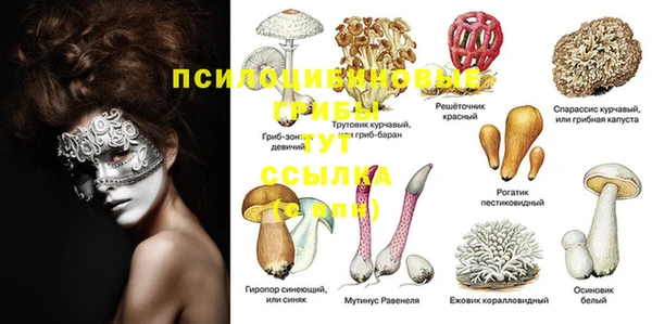 тгк Снежногорск