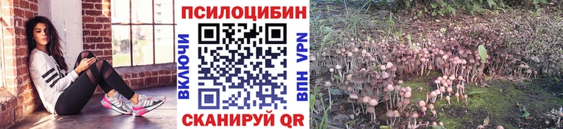 Галлюциногенные грибы мицелий  даркнет сайт  Тамбов 