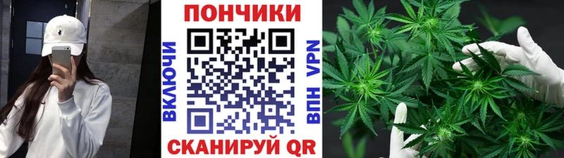 Бошки Шишки план  blacksprut онион  Тамбов 